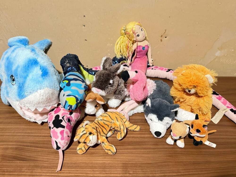 Mixed Lot of 12 Assorted Plush Toys